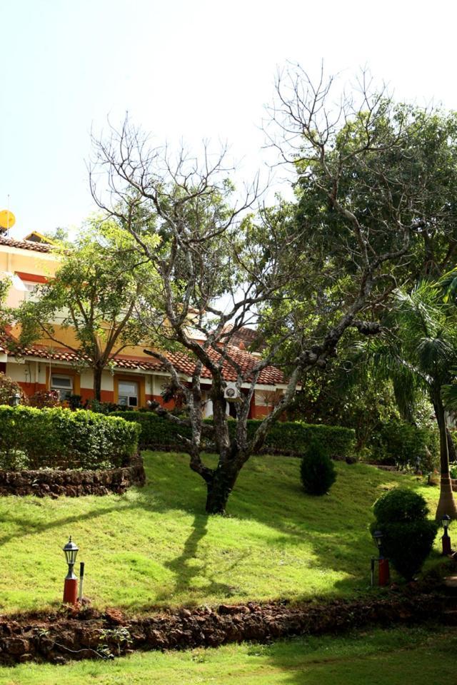 אנג'ונה Nirvana Hermitage מראה חיצוני תמונה